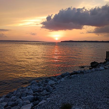 The Gemini-A Dreamy, Waterfront Tiny Cabin Rogersville Экстерьер фото